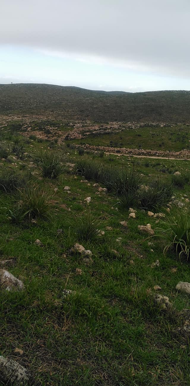 خربة مران المهجرة - دورا / الخليل